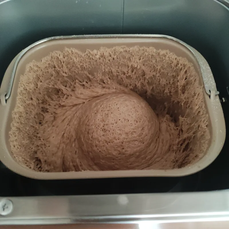 Blick in die geöffnete Backform des Fornello Supremo während des Knetens: Teigkugel in der Mitte, feine Teigfäden an den Wänden