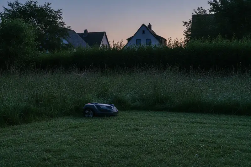 Mähroboter auf einem Rasen in der Abenddämmerung, im Hintergrund eine Gartenhecke