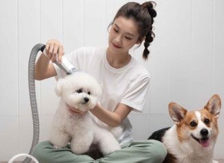 Neabot P1 Pro Professional Pet Grooming Vacuum Kit