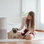 Der beste Luftreiniger – Test, Marktanalyse & Vergleich 11/2025 Die besten Luftreiniger und Luftfilter im Test