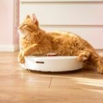 Der beste Saugroboter für Tierhaare 2025: Endlich Schluss mit dem Bürsten-Chaos? Die besten Saugroboter für Tierhaare