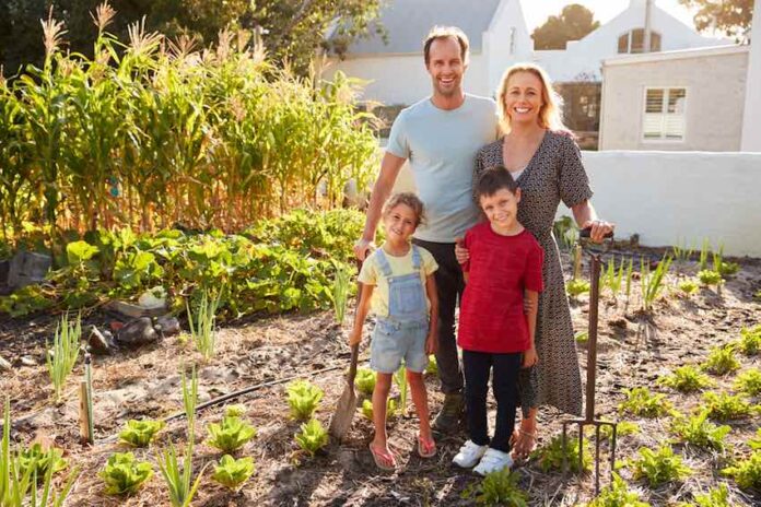 Entspannung im eigenen Schrebergarten – für viele Menschen der perfekte Rückzugsort.